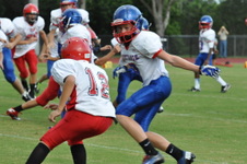 Enlarge photo 77
