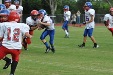 Enlarge photo 79
