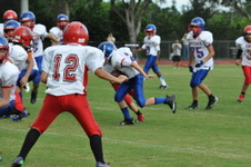 Enlarge photo 80