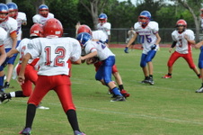 Enlarge photo 81