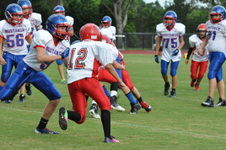Enlarge photo 84