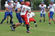 Enlarge photo 83
