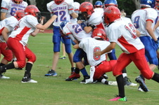 Enlarge photo 86