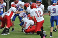 Enlarge photo 87
