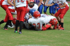 Enlarge photo 88