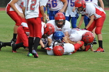 Enlarge photo 89