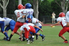 Enlarge photo 97