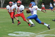 Enlarge photo 110