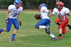 Enlarge photo 112