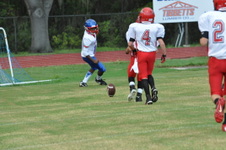 Enlarge photo 124