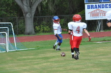 Enlarge photo 126