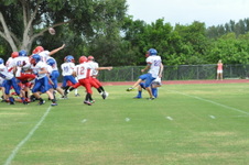 Enlarge photo 132