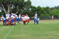 Enlarge photo 133