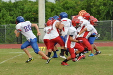 Enlarge photo 146