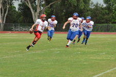 Enlarge photo 147