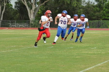 Enlarge photo 148