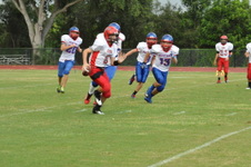 Enlarge photo 149