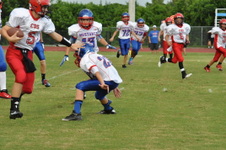 Enlarge photo 151