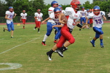 Enlarge photo 153