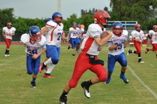Enlarge photo 155