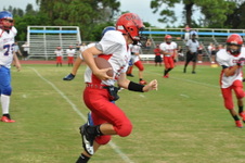 Enlarge photo 156