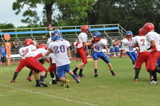 Enlarge photo 161