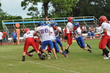 Enlarge photo 163
