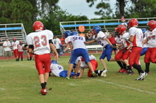 Enlarge photo 166