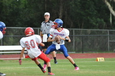 Enlarge photo 169