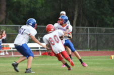 Enlarge photo 170