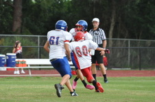 Enlarge photo 172