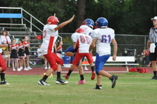 Enlarge photo 174