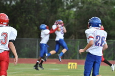 Enlarge photo 176