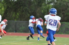 Enlarge photo 177