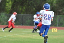 Enlarge photo 178