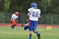 Enlarge photo 179