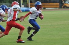 Enlarge photo 185
