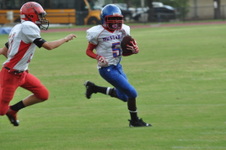 Enlarge photo 184