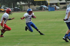 Enlarge photo 183