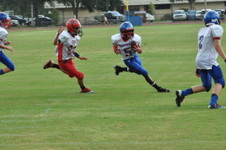 Enlarge photo 186