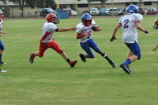 Enlarge photo 188