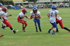 Enlarge photo 187
