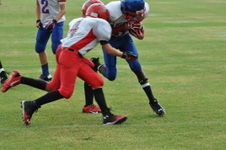 Enlarge photo 192