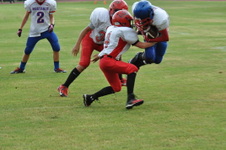 Enlarge photo 193