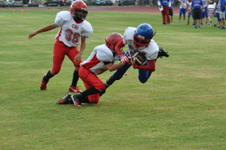 Enlarge photo 194