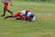 Enlarge photo 195