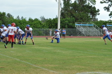 Enlarge photo 199