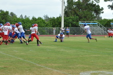 Enlarge photo 203