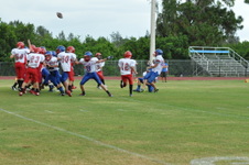 Enlarge photo 205