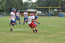Enlarge photo 212